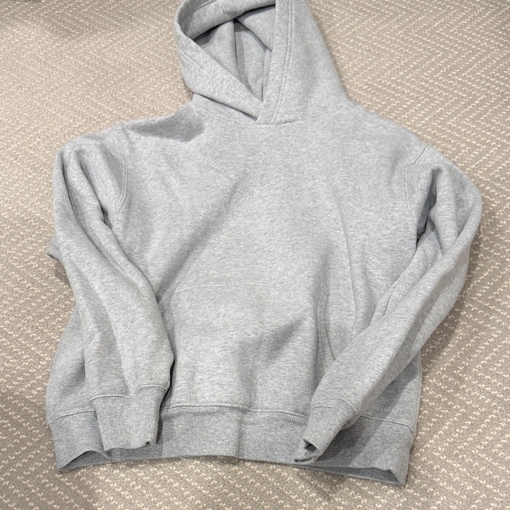 Aritzia Light Gray Men's Hoodie